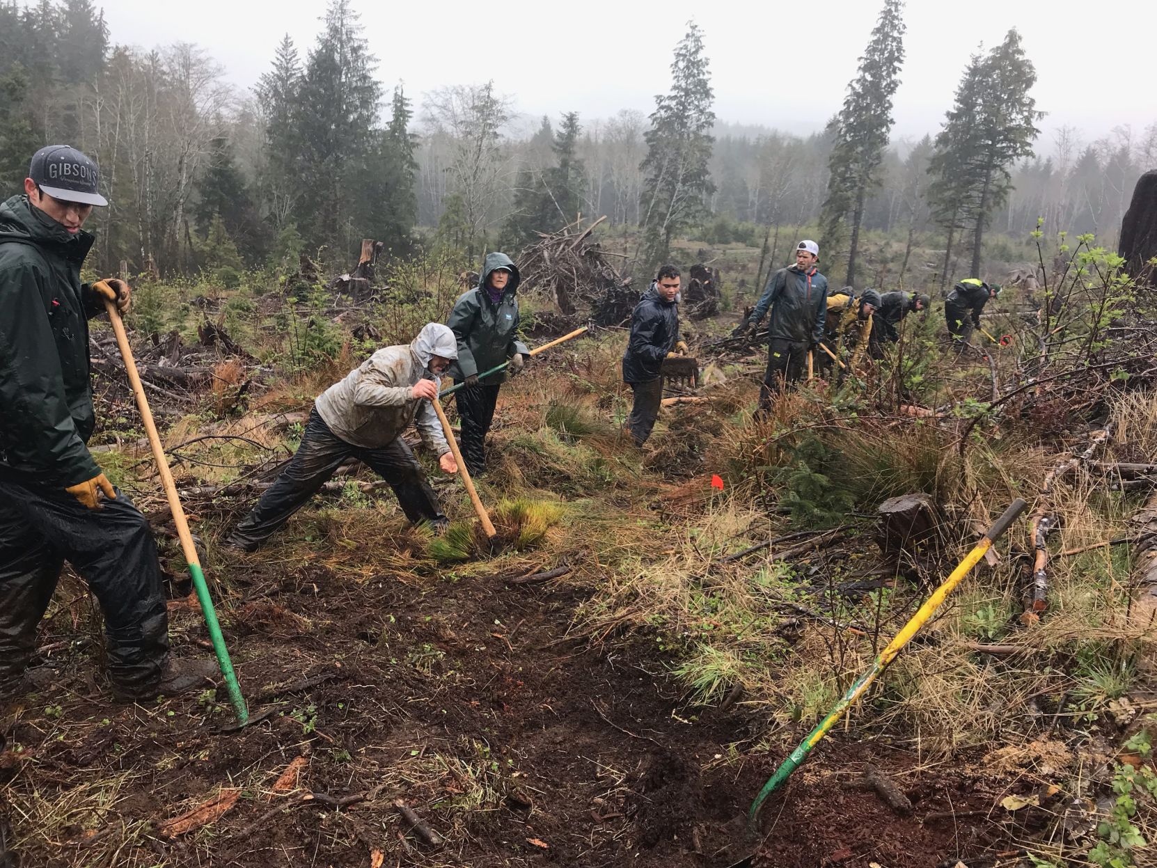 Shovels to the ground